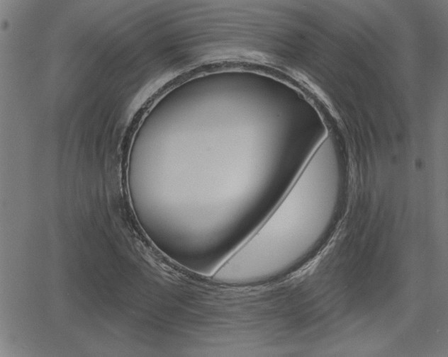 X0000066010877200603031001