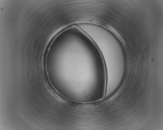 X0000066010884200603031000