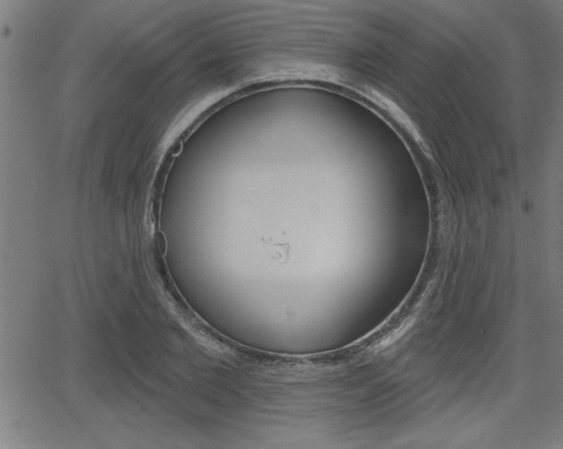 X0000066010885200603031000