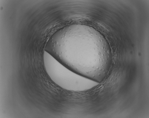 X0000066010917200603030959