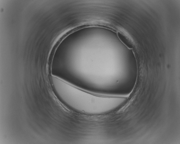 X0000066010932200603030959