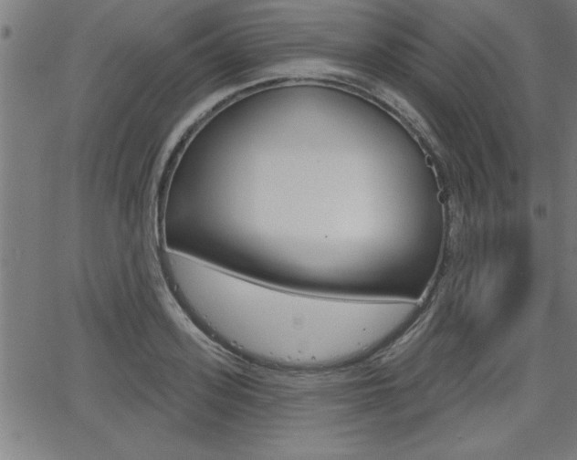 X0000066010939200603031000