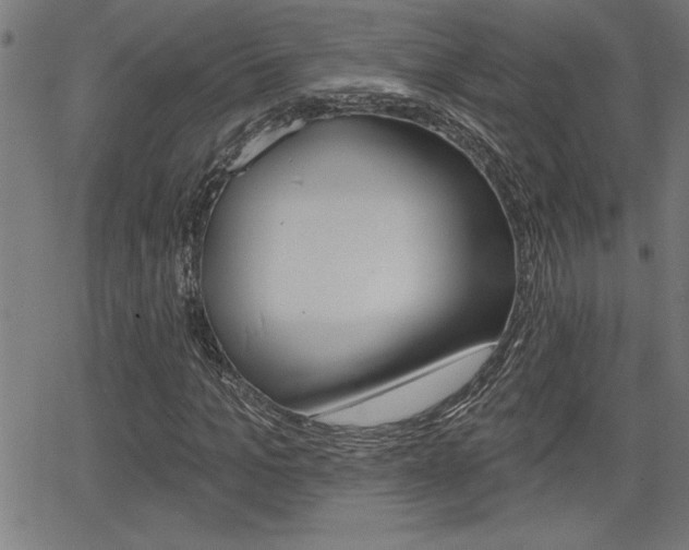 X0000066010965200603030959