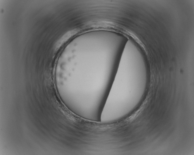 X0000066010978200603030959