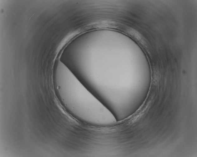 X0000066010986200603030959