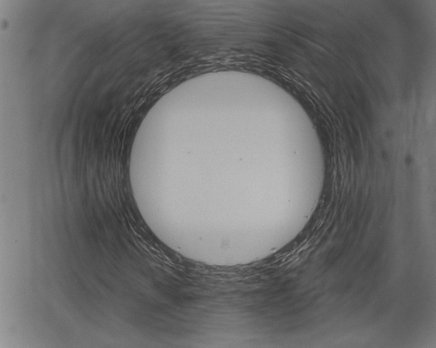X0000066011010200603030958