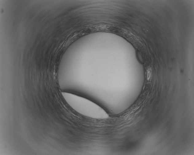 X0000066011011200603030958