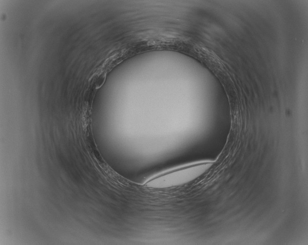 X0000066011012200603030958