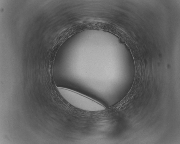 X0000066011013200603030958