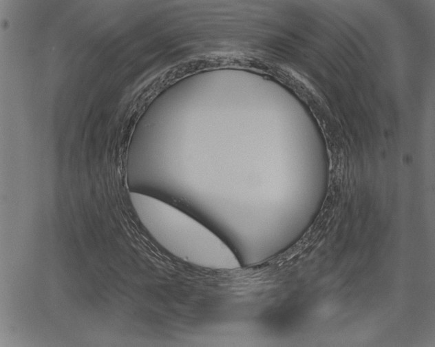 X0000066011015200603030958