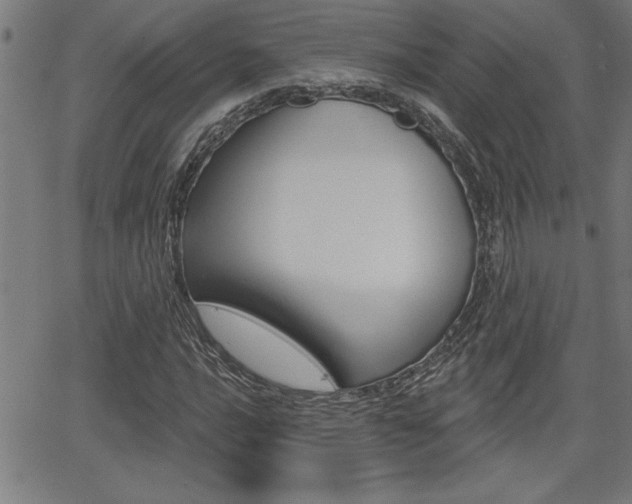 X0000066011016200603030958