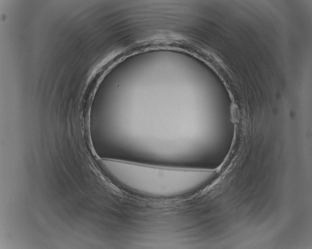 X0000066011018200603030958