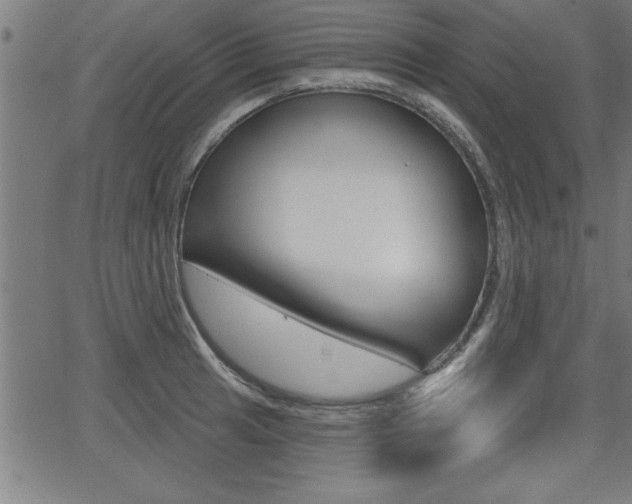 X0000066011041200603030958