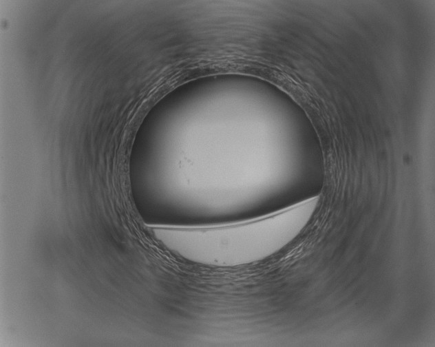 X0000066011057200603030958