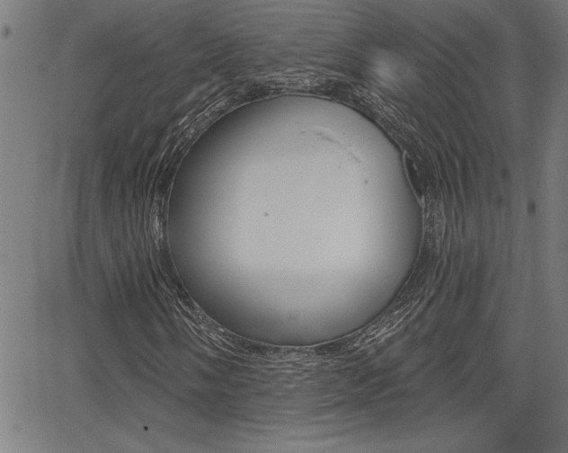 X0000066011058200603030958