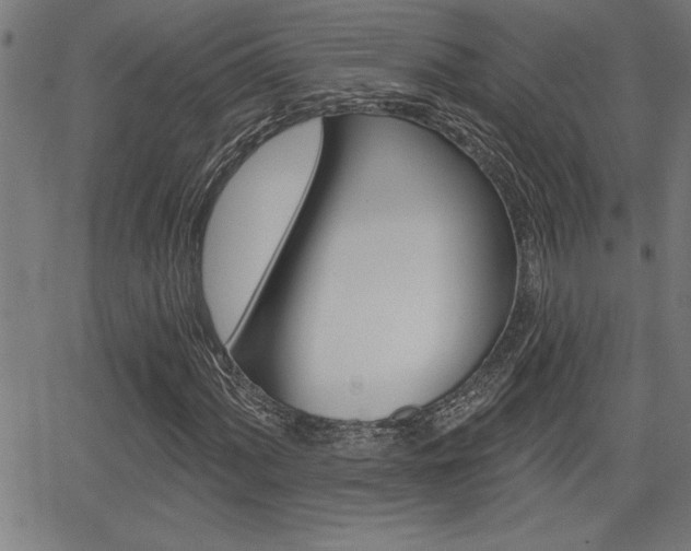 X0000066011060200603030958