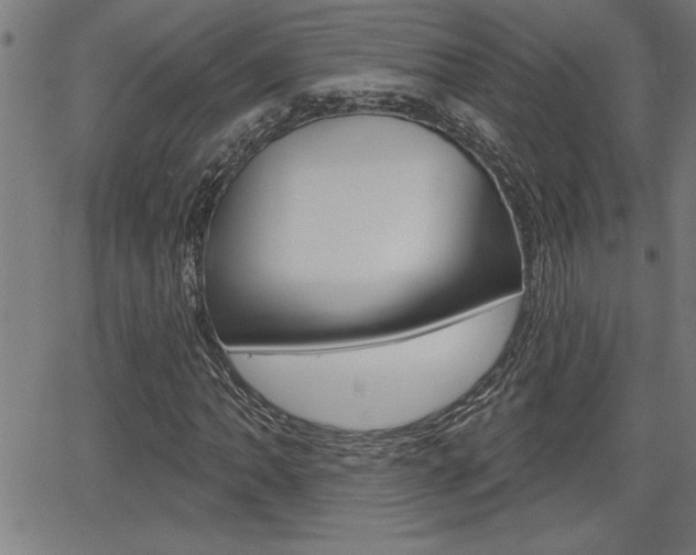 X0000066011062200603030958
