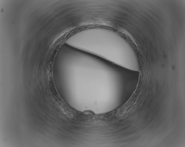 X0000066011064200603030957