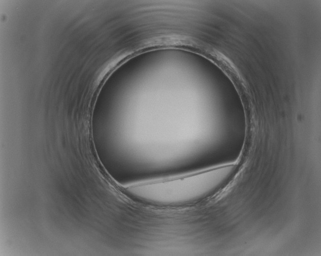 X0000066011081200603030957