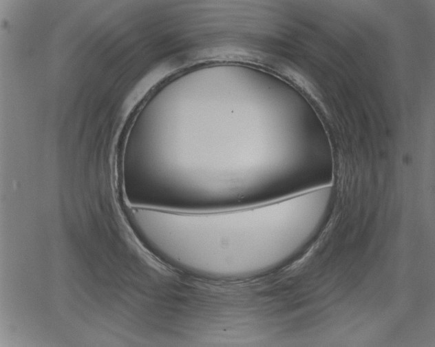 X0000066011082200603030957