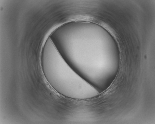 X0000066011104200603030957
