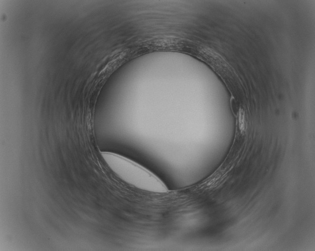 X0000066011107200603030956