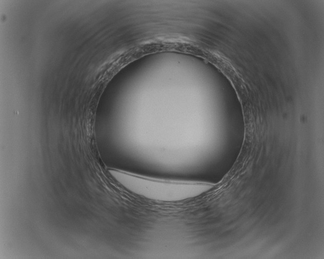 X0000066011110200603030956