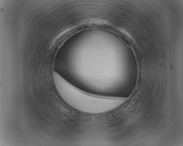 X0000066011112200603030956