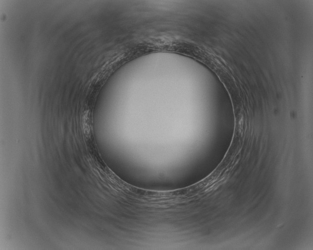 X0000066011156200603030956