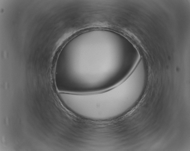 X0000066011168200603030956