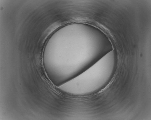 X0000066011170200603030956