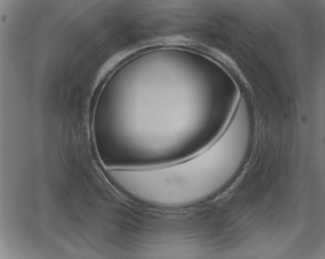 X0000066011176200603030956