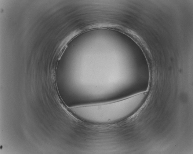 X0000066011185200603030956