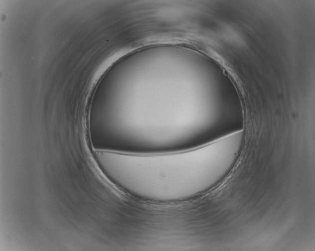 X0000066011187200603030955