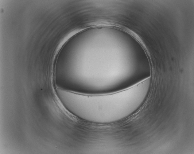 X0000066011195200603030955