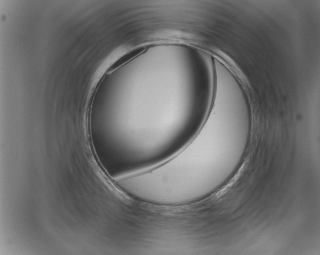 X0000066011196200603030955