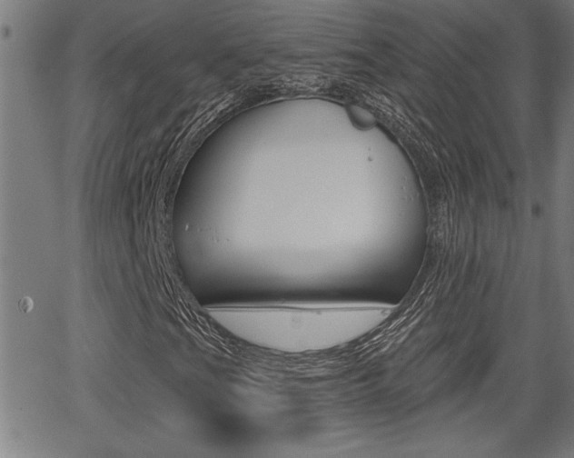 X0000066011201200603030954