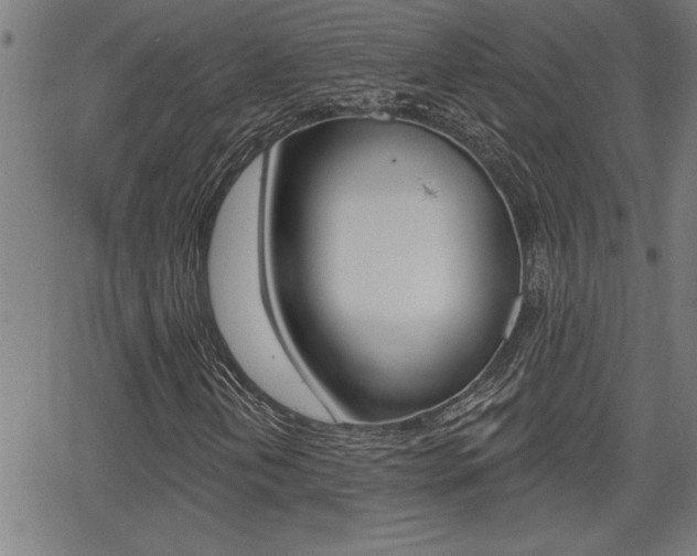 X0000066011202200603030954