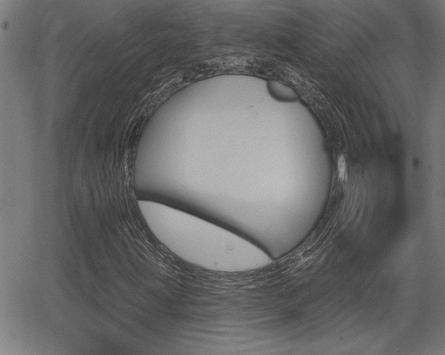 X0000066011203200603030955