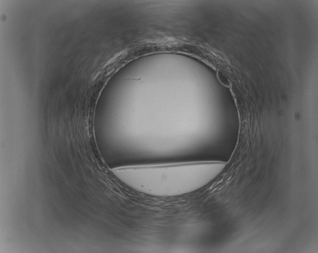 X0000066011205200603030955