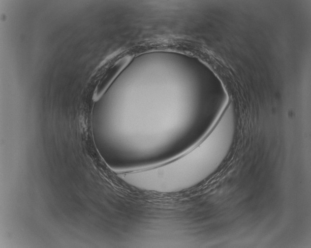 X0000066011206200603030955