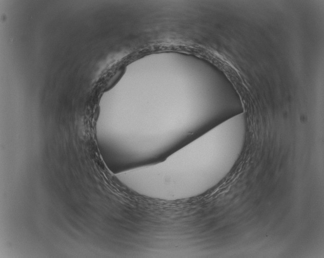 X0000066011207200603030955