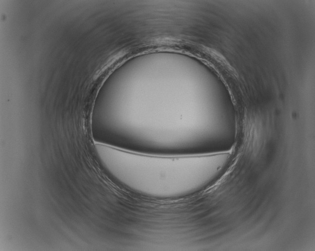 X0000066011209200603030955