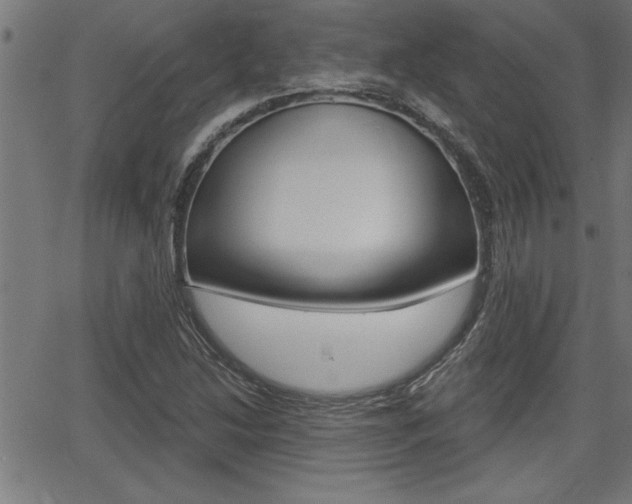 X0000066011214200603030955