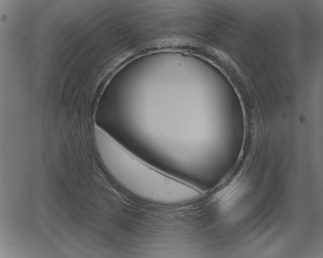 X0000066011217200603030955