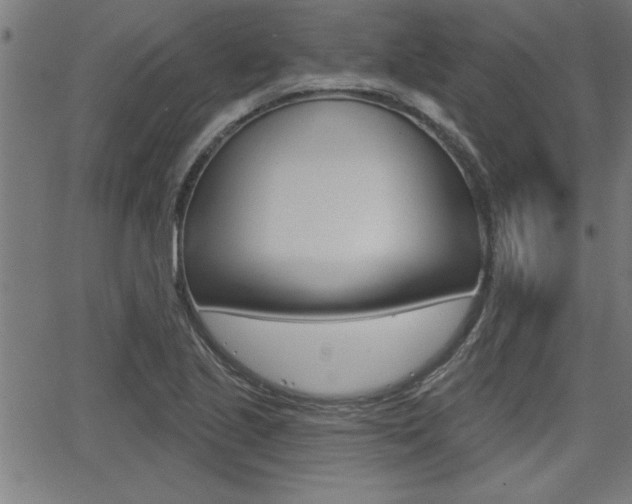 X0000066011221200603030955