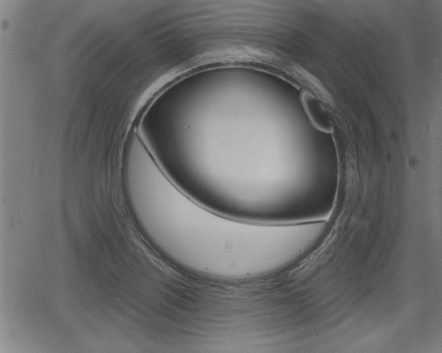 X0000066011226200603030955
