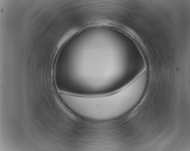 X0000066011234200603030955