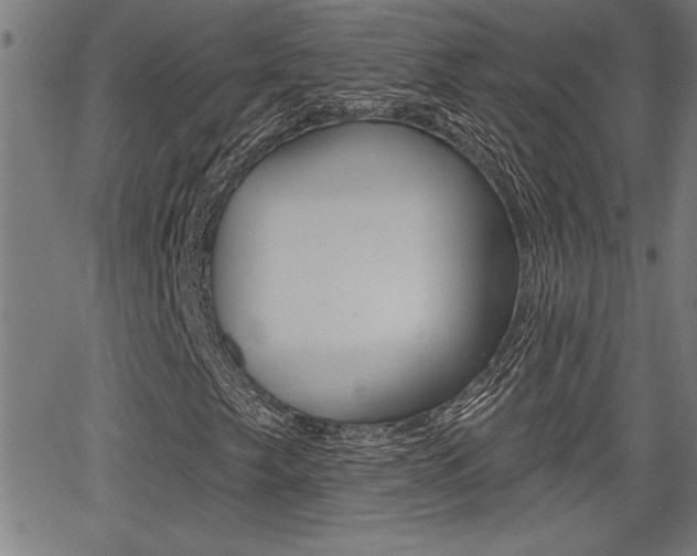X0000066011249200603030954