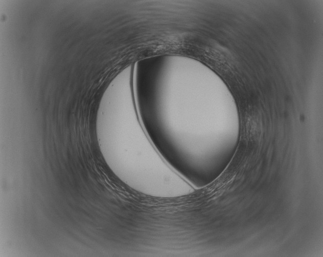 X0000066011250200603030954